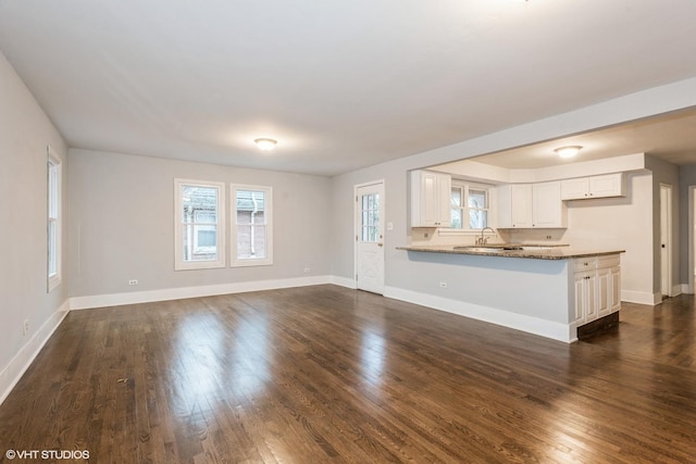 unfurnished living room with sink and dark hardwood / wood-style floors