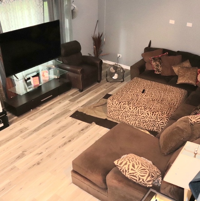 living room with wood-type flooring