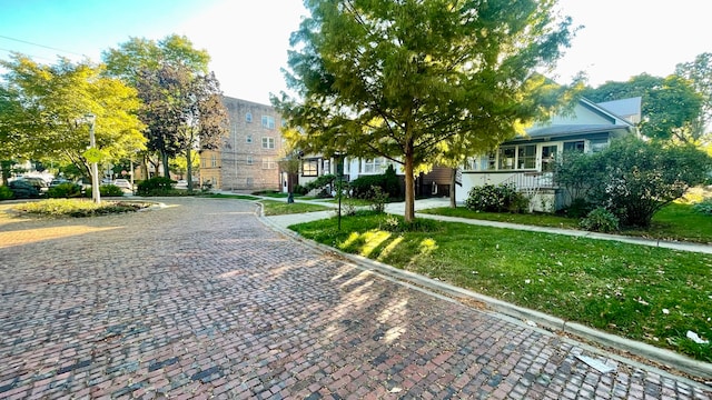 view of home's community with a yard