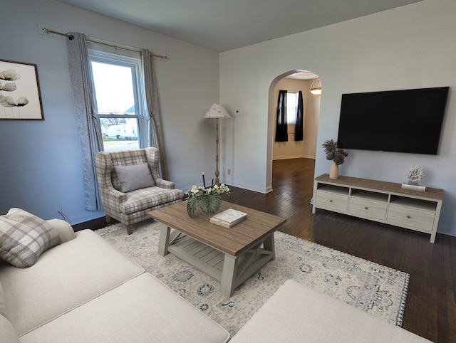 living room featuring dark hardwood / wood-style flooring