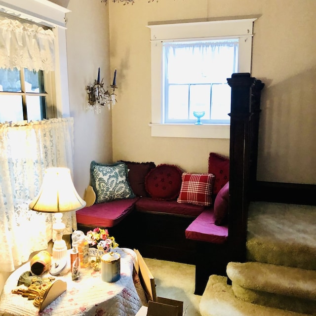 living room with carpet floors