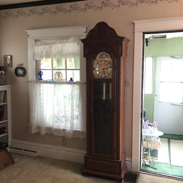 room details with carpet and a baseboard radiator