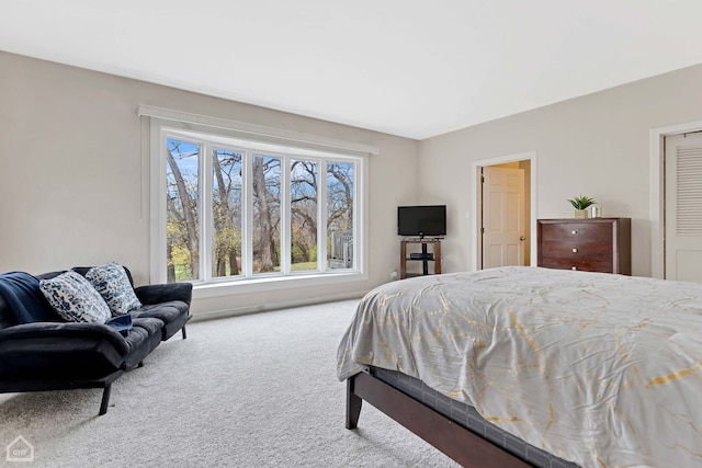 bedroom featuring carpet