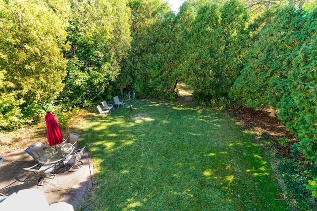 view of yard featuring a patio area