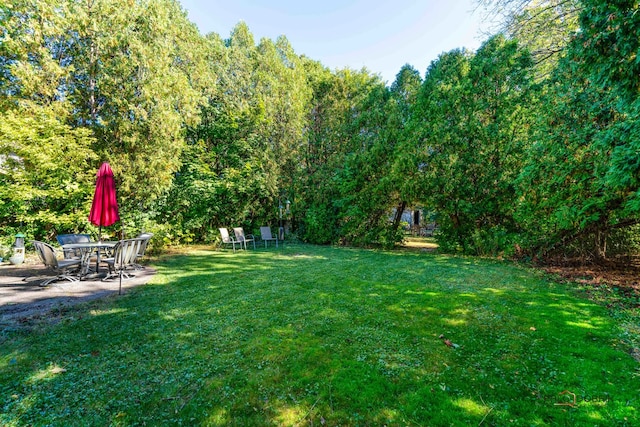 view of yard with a patio