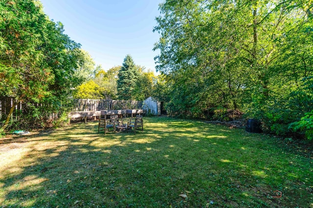 view of yard with a storage unit