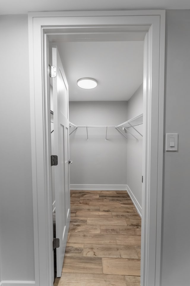 spacious closet featuring light hardwood / wood-style flooring