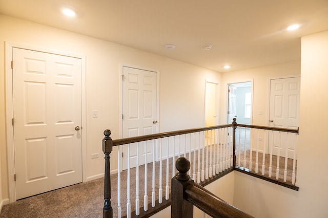 hallway featuring carpet floors