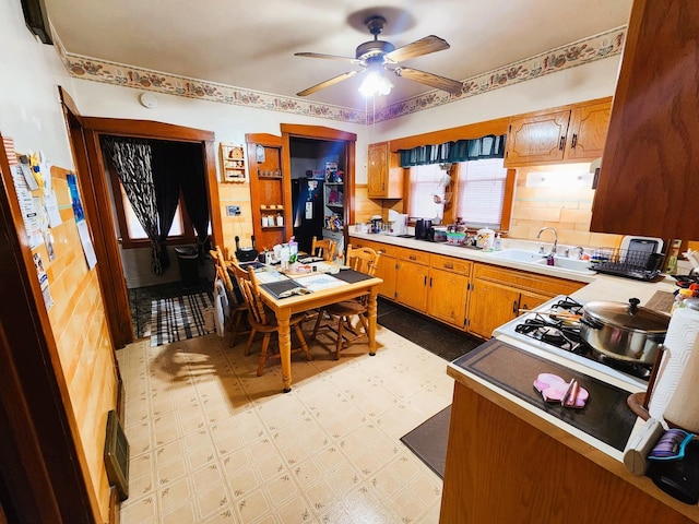 kitchen with ceiling fan, sink, and tasteful backsplash