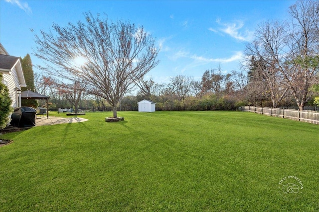 view of yard with a patio and a storage shed