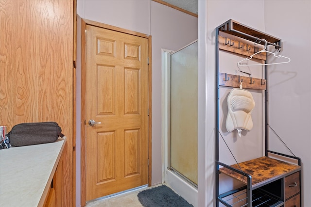 bathroom featuring a shower with shower door