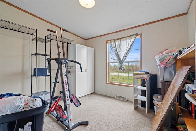 workout area with a textured ceiling, light colored carpet, and ornamental molding