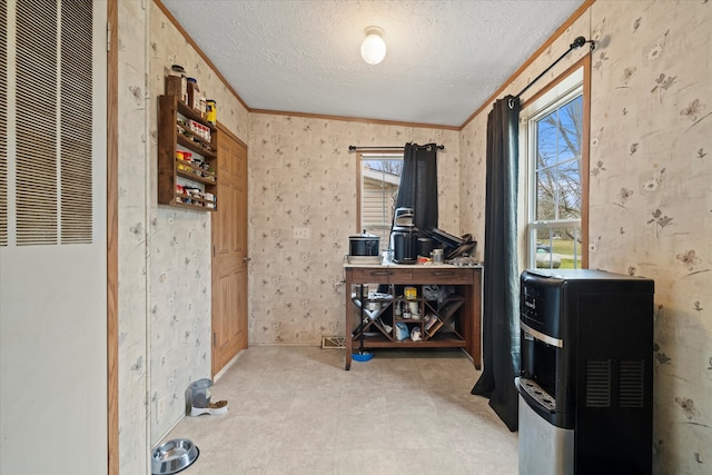 misc room with a textured ceiling, vaulted ceiling, plenty of natural light, and crown molding