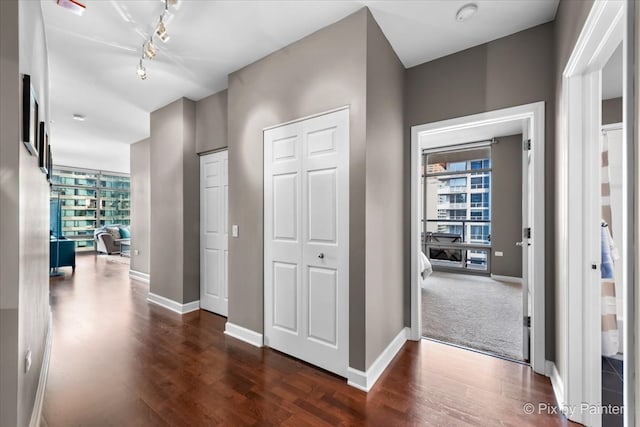 hallway with dark wood-type flooring and a healthy amount of sunlight