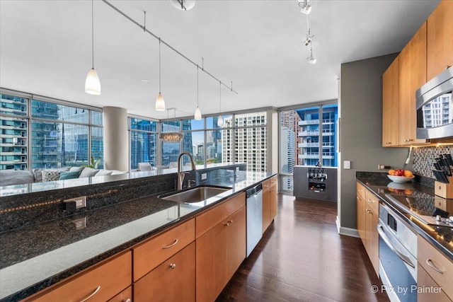 kitchen featuring dark hardwood / wood-style floors, dark stone countertops, sink, and stainless steel appliances