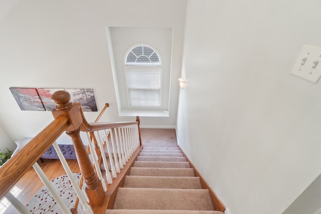 staircase with hardwood / wood-style floors