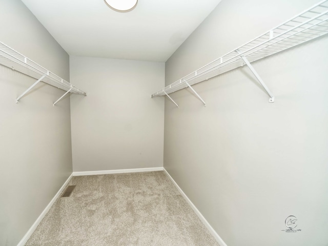 spacious closet featuring light colored carpet