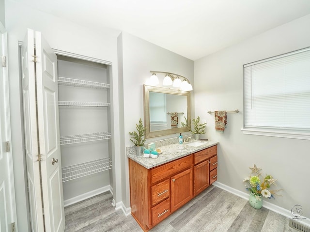 bathroom featuring vanity and hardwood / wood-style floors