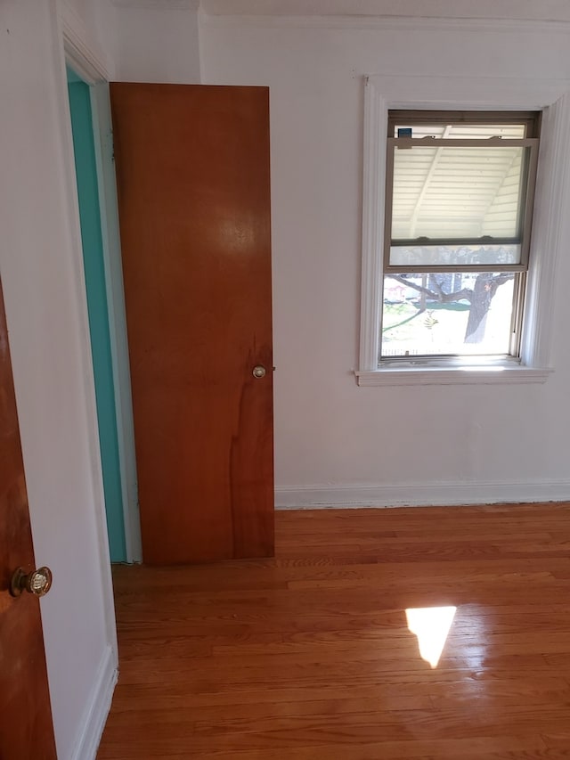 spare room with light hardwood / wood-style flooring