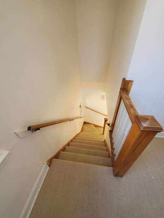 staircase featuring carpet floors