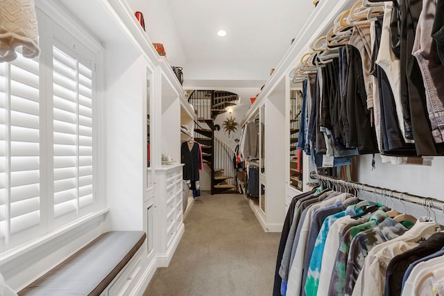 spacious closet with light carpet