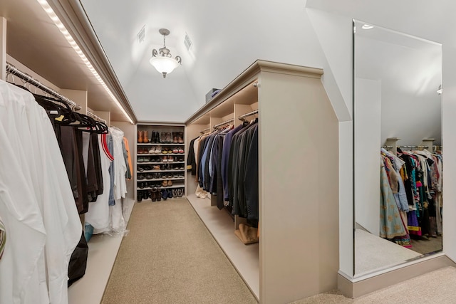 spacious closet with light carpet