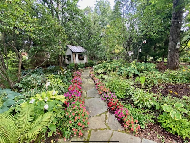 view of yard with an outbuilding