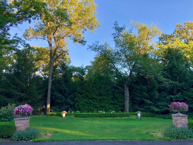 view of property's community with a lawn