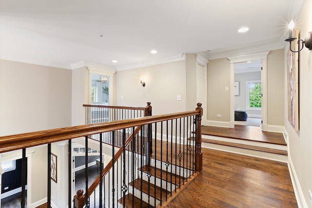 hall featuring a chandelier, dark hardwood / wood-style floors, and crown molding