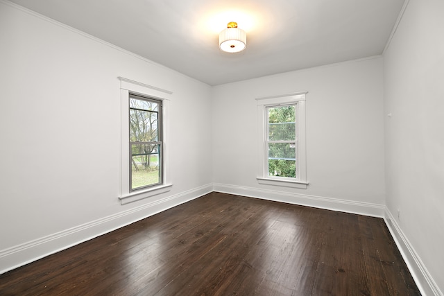 empty room featuring plenty of natural light, dark hardwood / wood-style floors, and crown molding