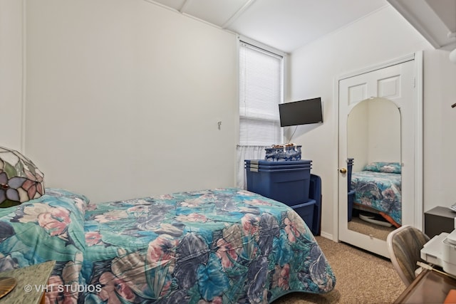 bedroom with carpet floors