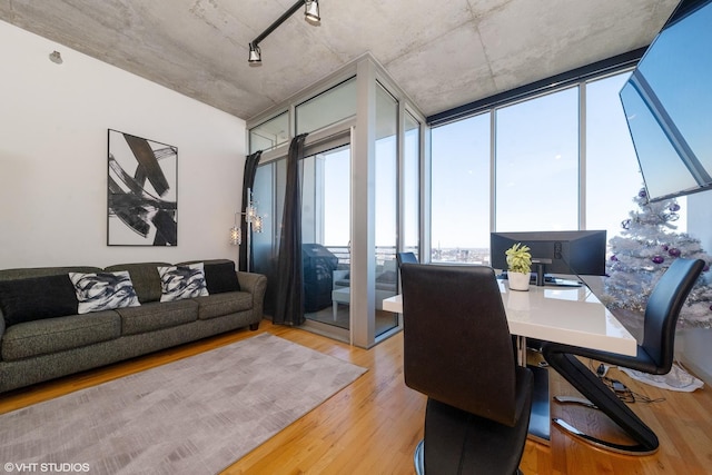 living room featuring light hardwood / wood-style floors, floor to ceiling windows, and track lighting