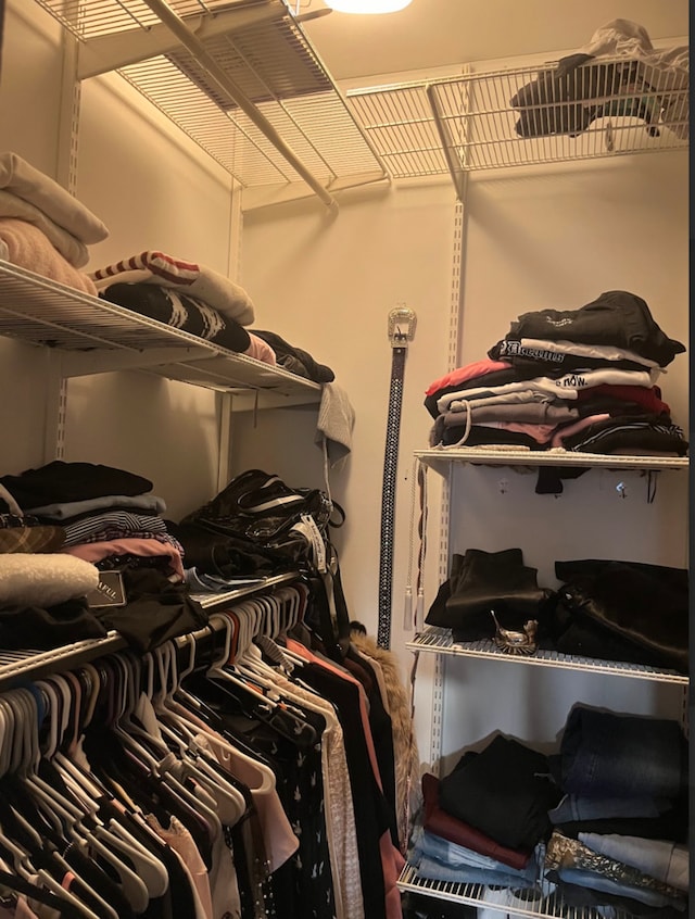 view of walk in closet