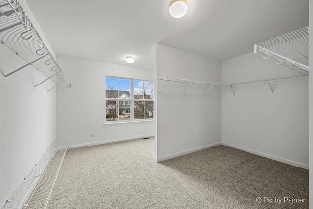 walk in closet featuring carpet floors