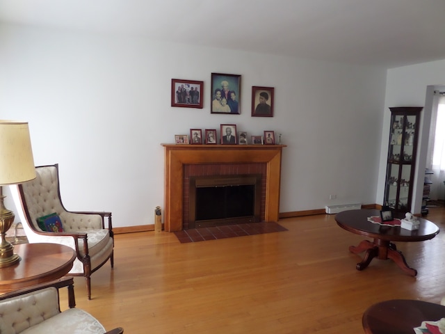 living room featuring light wood-type flooring and a baseboard heating unit