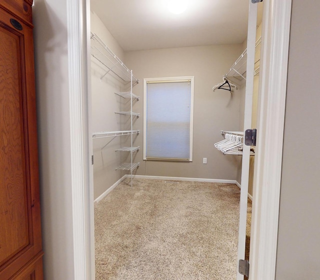 walk in closet featuring carpet floors