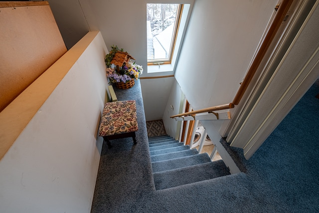 stairs featuring carpet flooring