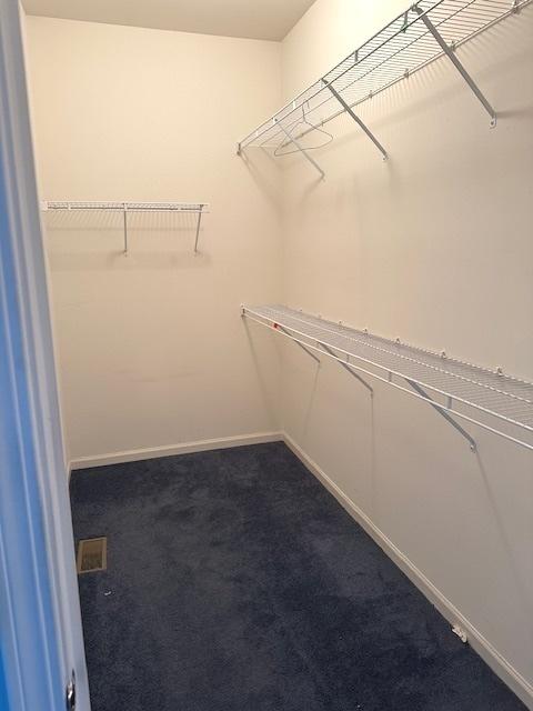 walk in closet featuring carpet floors