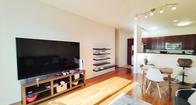 living room featuring light hardwood / wood-style flooring