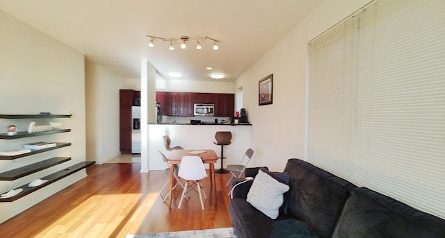 living room featuring hardwood / wood-style flooring