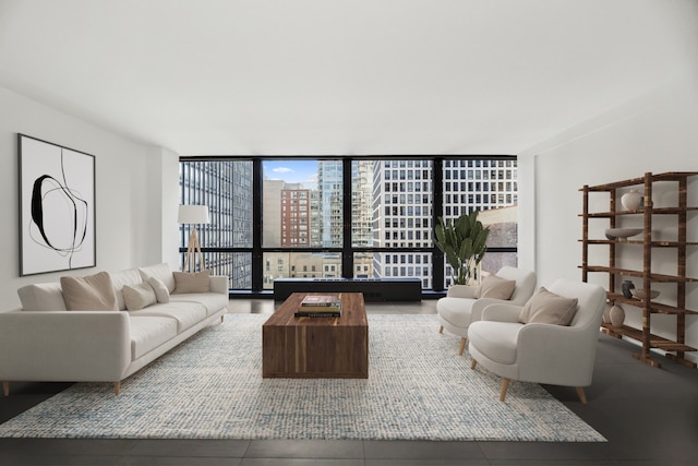 living room with a wall of windows and a healthy amount of sunlight