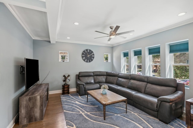 living room featuring ceiling fan, beamed ceiling, dark hardwood / wood-style floors, and ornamental molding