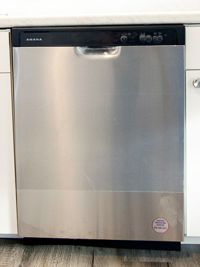 room details with stainless steel dishwasher