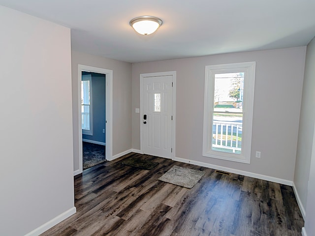 entrance foyer with dark wood-type flooring