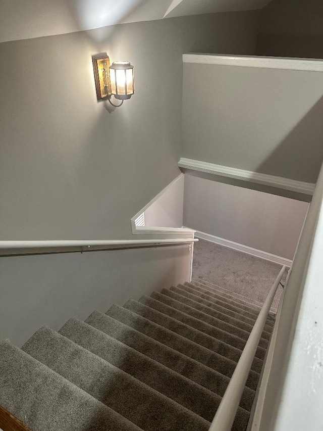 stairway featuring carpet floors