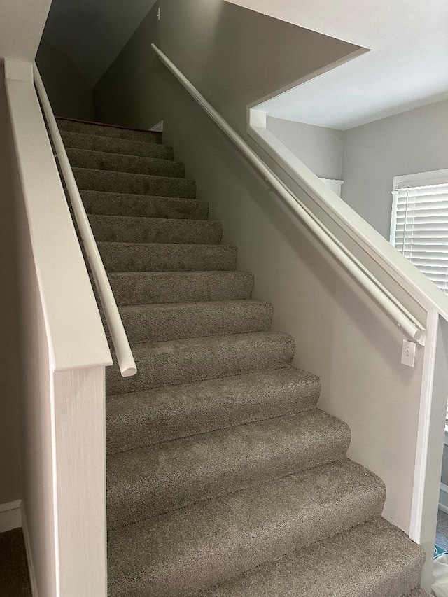 stairs with carpet flooring