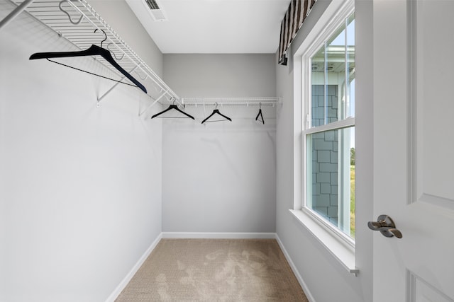 spacious closet featuring carpet