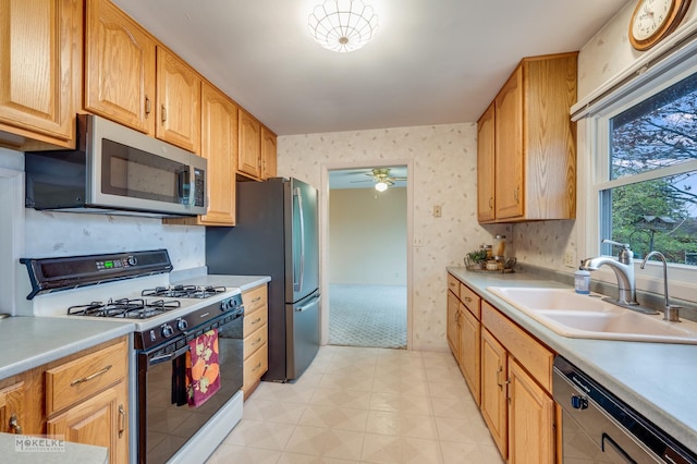 kitchen featuring ceiling fan, appliances with stainless steel finishes, and sink