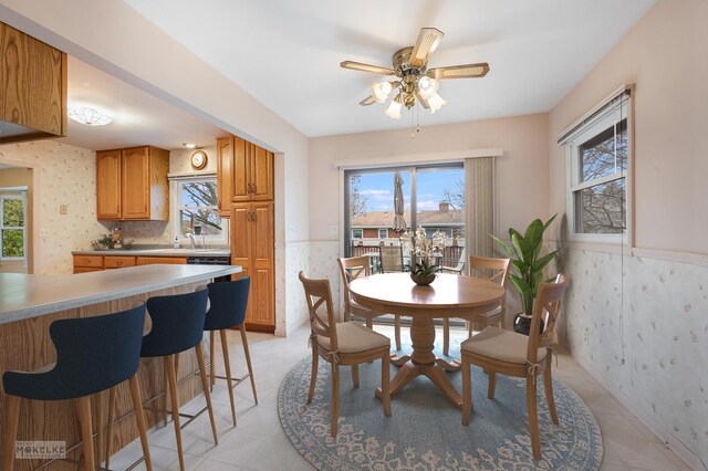 kitchen with dishwasher, a healthy amount of sunlight, and ceiling fan