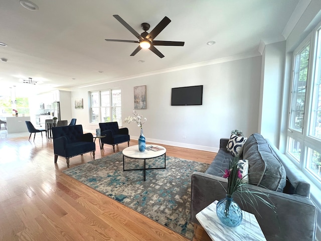 living room with wood-type flooring, ceiling fan, and crown molding